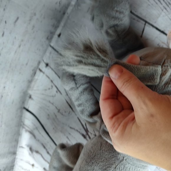 Animal Adventure plush elephant stuffed animal toy 10" - Picture 5 of 7